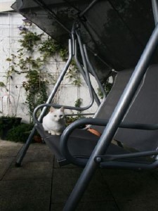../Images/Bild 025.jpg
